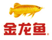 食品调料